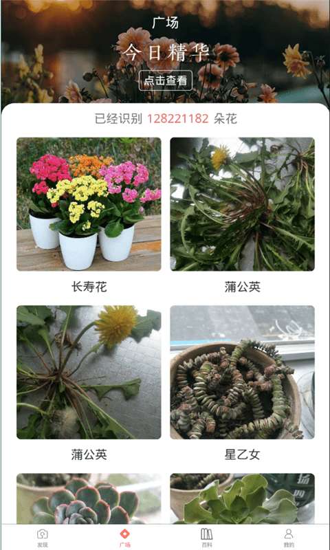 识花神器图3