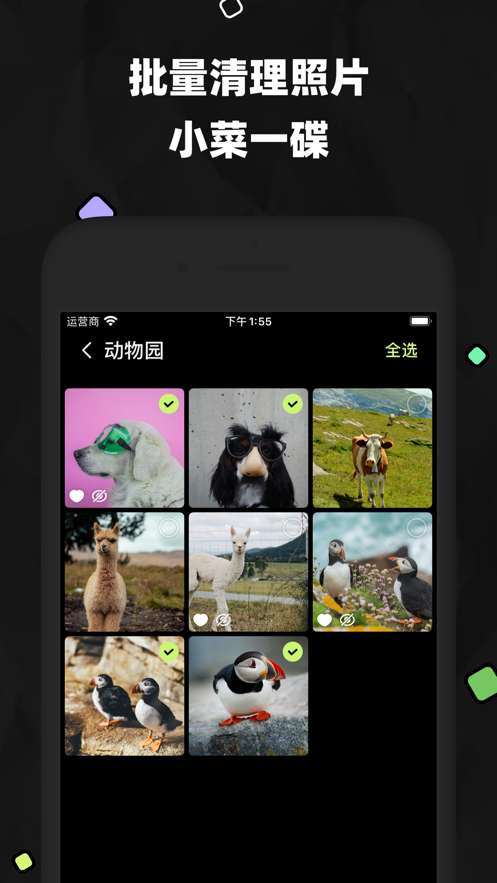 空空相册图2