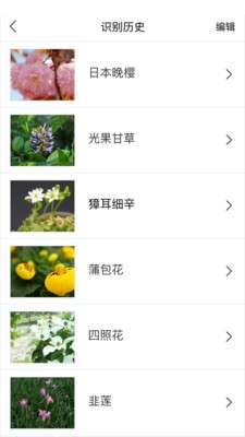 识花图3