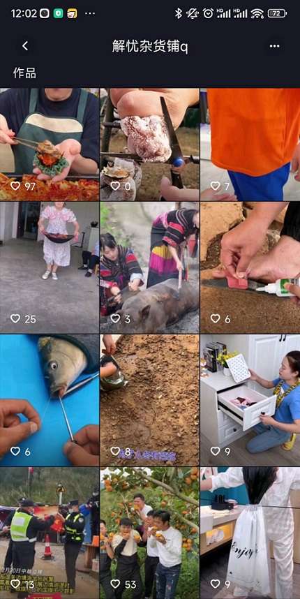 风鹭短视频图2