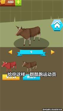 动物赛跑图6