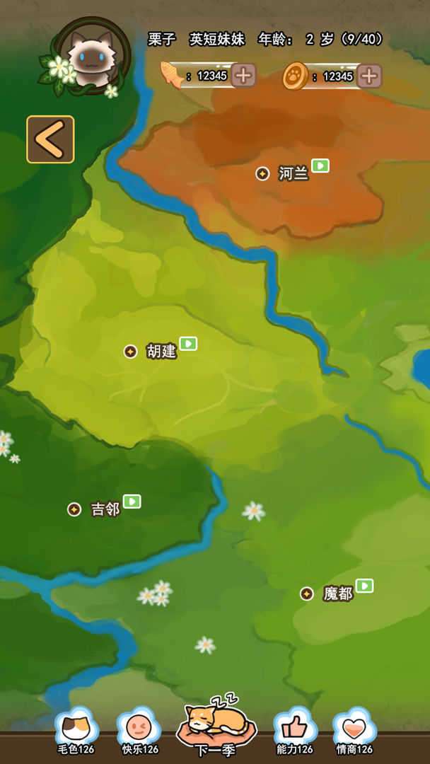 萌猫养成记游戏图3