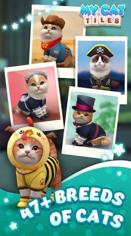 我的猫猫生活图1