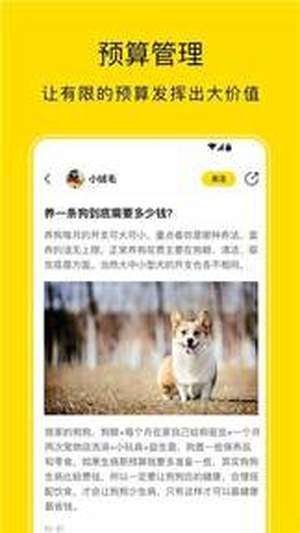 小绒宠物图2