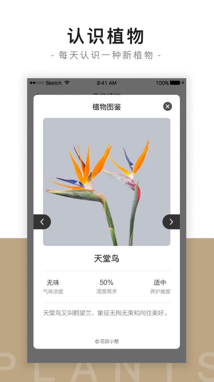 花田小憩图3