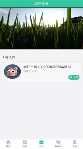 禾元农场图1