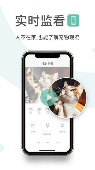 云阔宠物图2