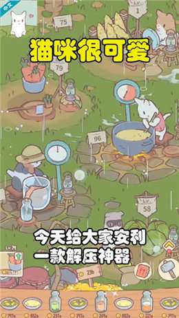 猫咪很可爱 图1