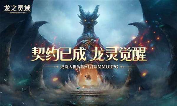 龙之灵域图2