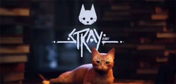 流浪猫模拟器图3