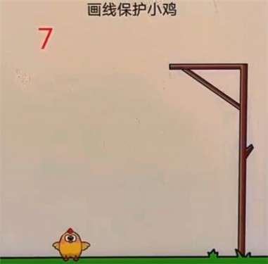 画线保护小鸡图1