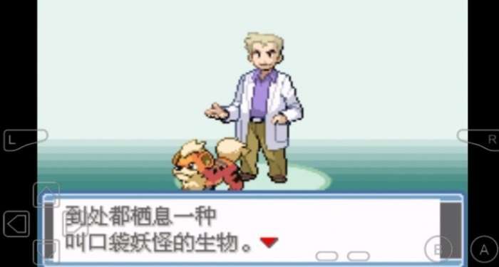 口袋妖怪永恒之炎图3