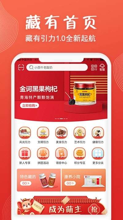 藏有引力图4