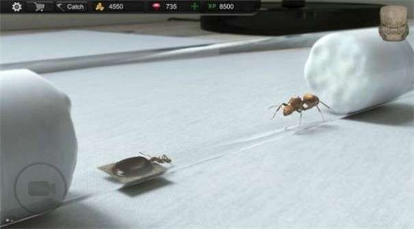 蚂蚁模拟大亨中文版图9