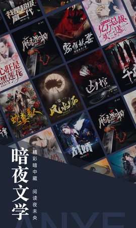 暗夜文学网图3