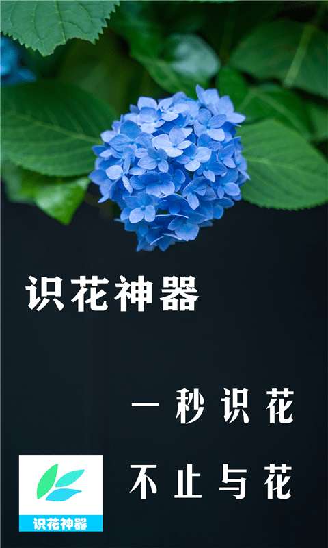 识花神器图1