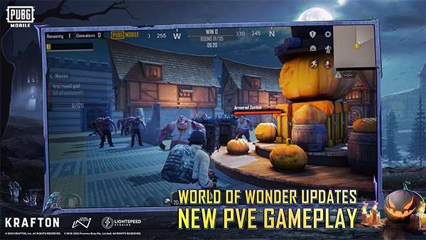 pubg国际服官方正版图11