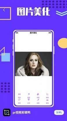 pr视频剪辑鸭图1
