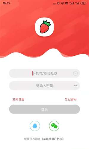 草莓社图3