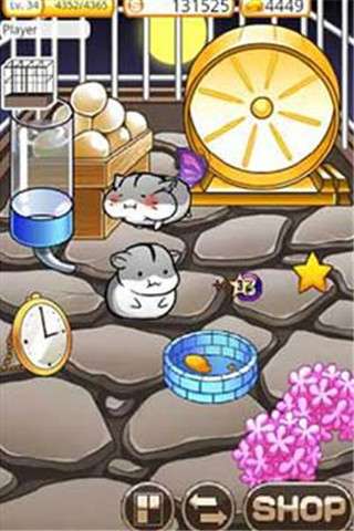 仓鼠的日常游戏官方正版图3