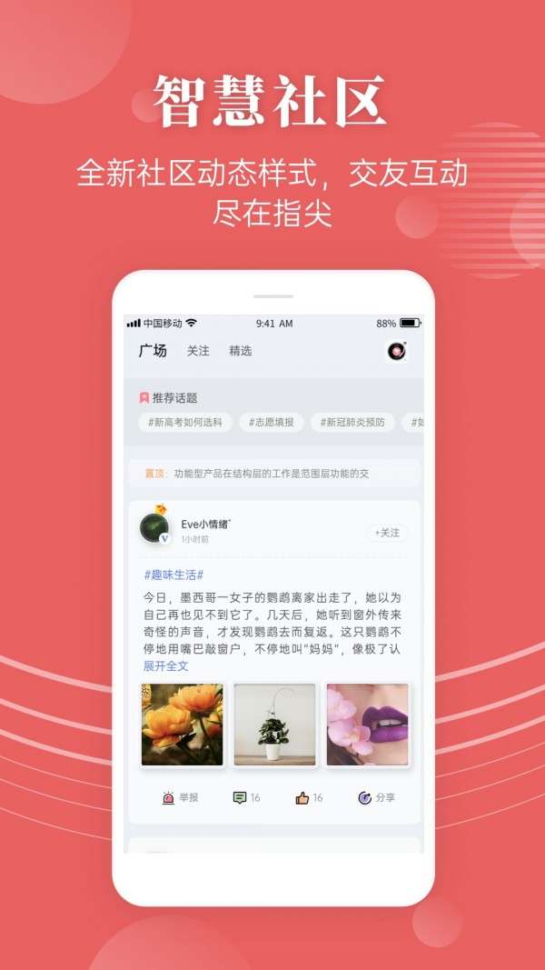 蝶变高考图3