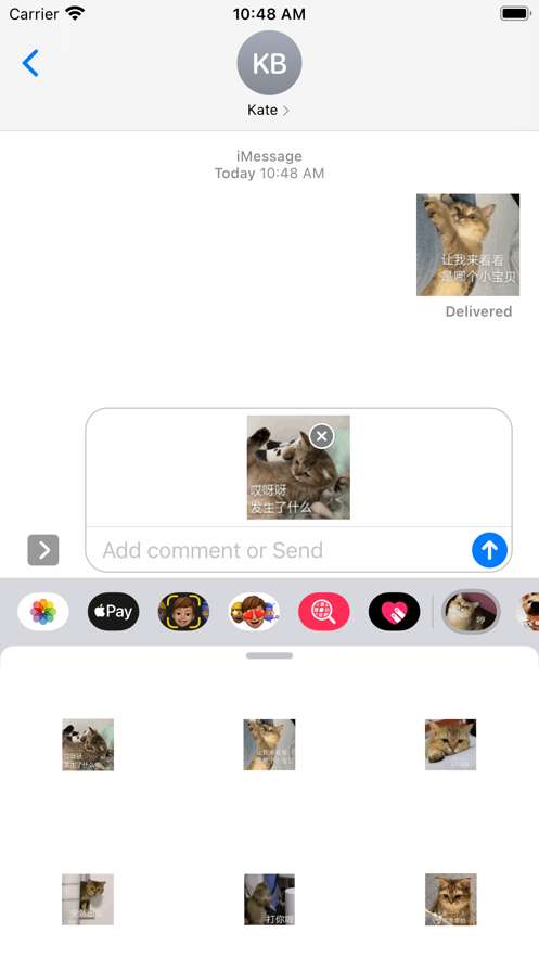 一颗不落小糖喵喵图3