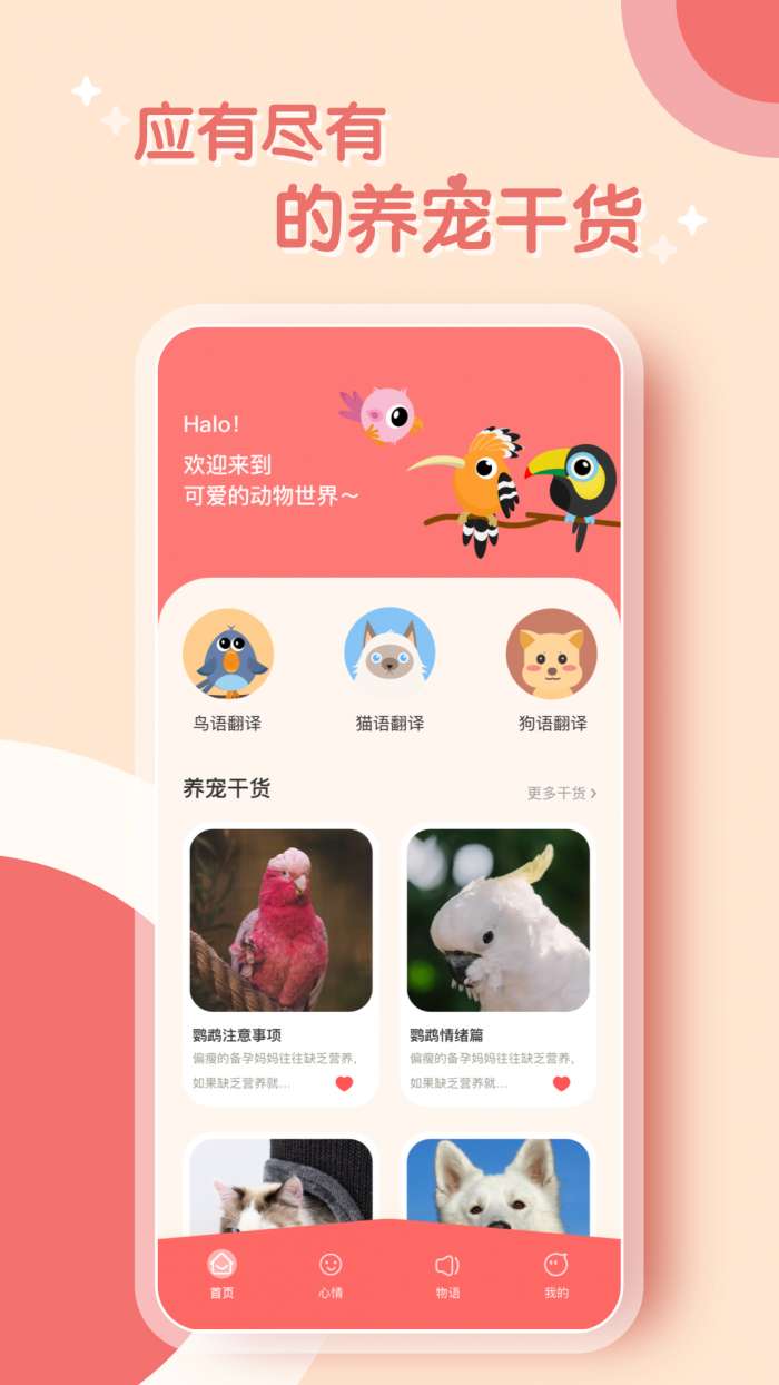 鹦鹉翻译器图3