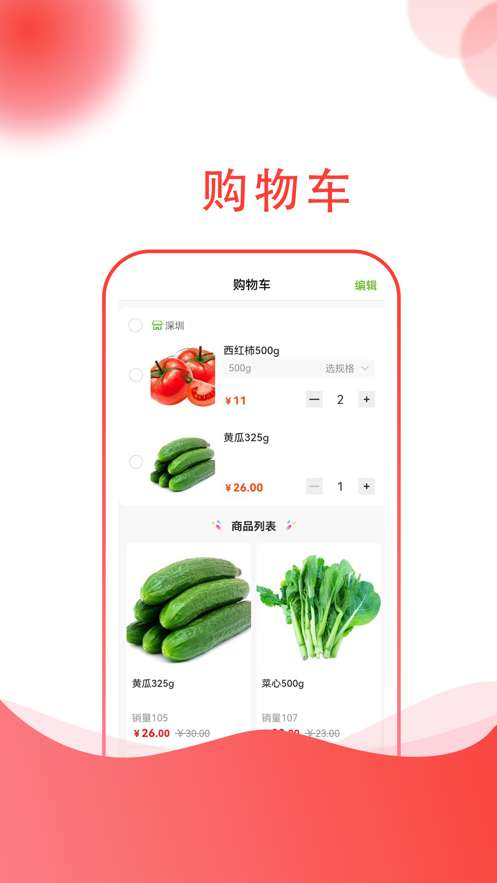 四季有花图1