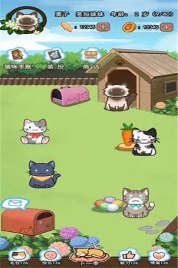 萌猫养成记图2