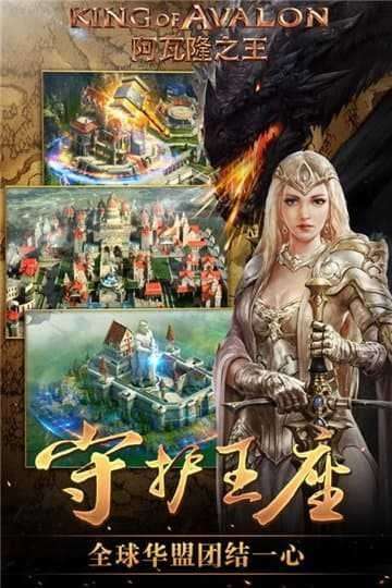 阿瓦隆之王国际服图3