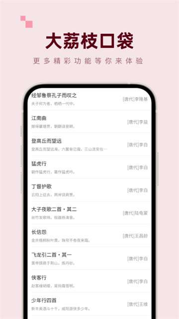 大荔枝口袋图3