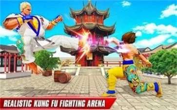 功夫格斗领域图1