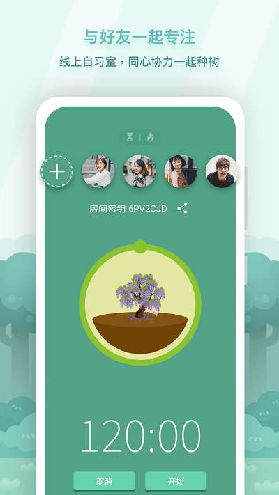 forest专注森林图2