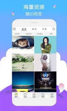 宝软网图5
