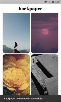 backpaper图2