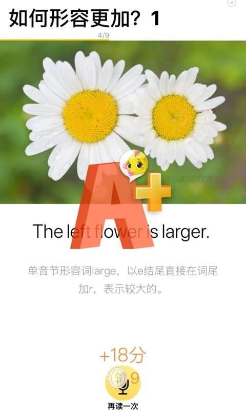 BOXFiSH盒子鱼英语图1
