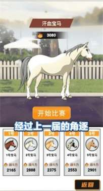 金牌驯马师图3
