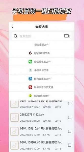 音频格式转换大师 图1