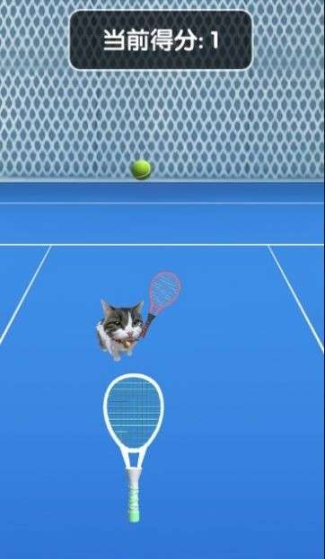 猫咪网球图1