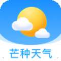 芒种天气