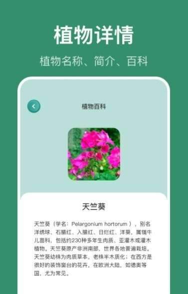 花仙识花草图1