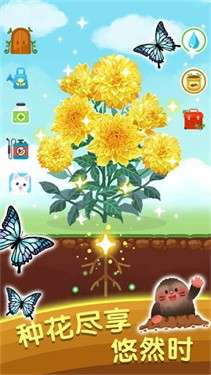 指尖花园图5