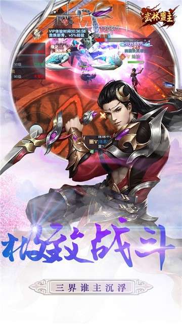 武林盟主安卓版图4