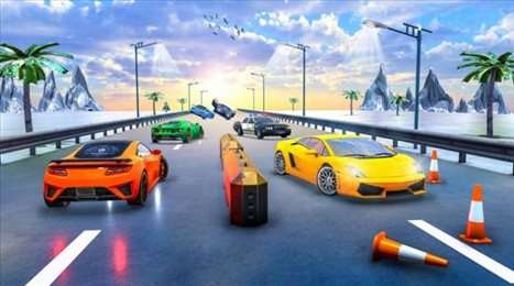 警车追逐逃跑比赛图2