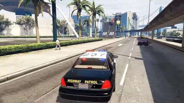 台湾警车模拟器图2
