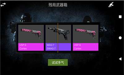 csgo开箱模拟器无广告图1
