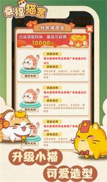 幸福猫舍正版图2