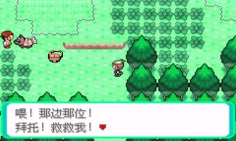 口袋妖怪：神兽领域图2
