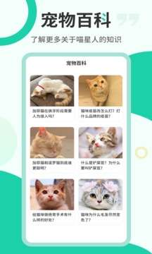 猫语翻译机图1