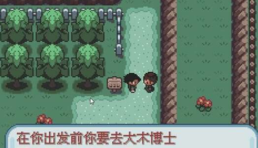 口袋妖怪：圣灰图2